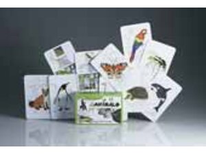 Adlung-Spiele Zweins ADL31032