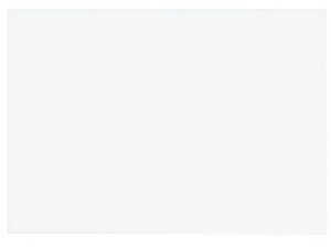 Biella Karteikarten blanko A5 230500