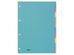 Biella Kartonregister 210g A4 46244000