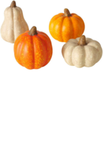 Boltze Dekoaufsteller Pumpky 2048479
