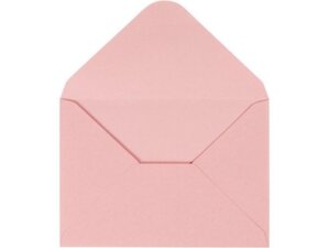CreativCompany Creativ Company Couvert 110 g rosa 217019