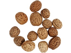 CreativCompany Creativ Company Deko NÃ¼sse 50247