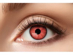 Zoelibat 3-Monatslinsen Elektro Rot 71484019