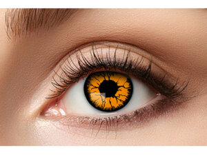 Zoelibat 3-Monatslinsen oranges Monster 71484045