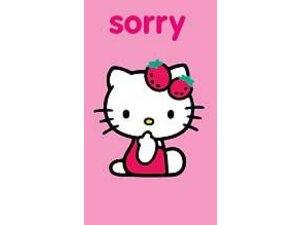  G-Card Sorry 17cm 860HK021