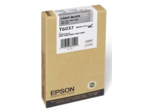 EPSON Tintenpatrone light black T603700
