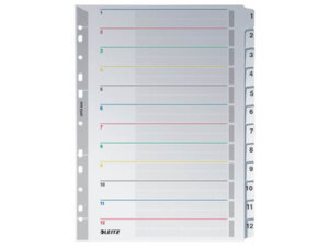 Esselte Leitz LEITZ Kartonregister A4+ 4332-00-00
