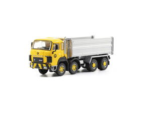 Gens ace Saurer D330B F8x4 Kipper Marti 85002312