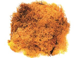 Glorex Islandmoos 50g 63803609