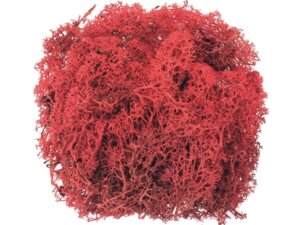 Glorex Islandmoos 50g 63803614