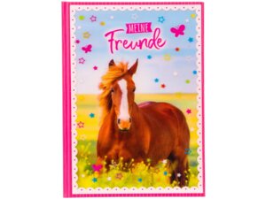 Goldbuch Freundebuch Pferdeliebe 3D gb43291N