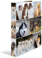 HERMA Ringbuch A4 3.5 cm Hunde 4D 19358A2