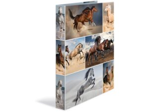 HERMA Ringbuch A4 3.5 cm Pferde 4 D 19360A1