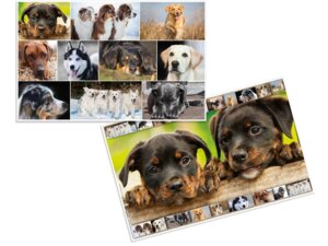 HERMA Schreibunterlage Hunde 19378
