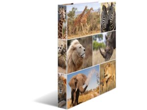 HERMA Ringbuch A4 3.5 cm Afrika 2D 19476