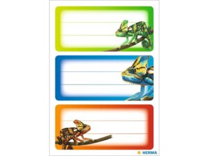 HERMA Schuletiketten Gecko 5876