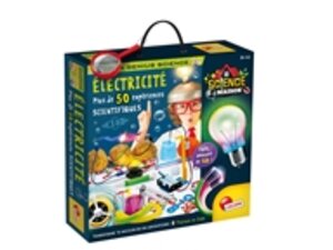 Lisciani Électricité (f) FR89352