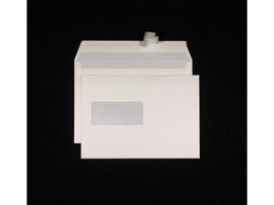 Mettler Couvert Fenster links C5 8025A1