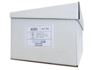 Mettler Couvert Fenster links C5 8065A1