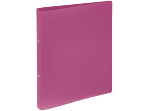 PAGNA Ringbuch 33mm A4 2090034