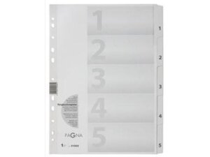 PAGNA Kartonregister A4 31003-08