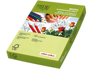 PAPYRUS Karton Bristol A4 88077845