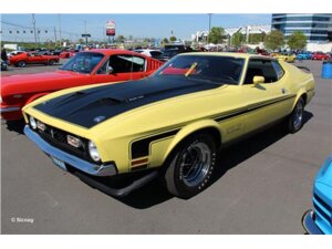 Revell 71 Mustang Boss 351 9007699