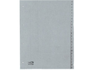 Rexel HETZEL Register PP A4 25650481