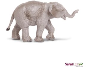 Safari Wildlife Elefantenbaby asiat.(6) 9.5 x 5 cm 222329