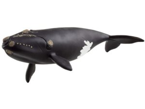 Schleich Nordatlantischer Glattwal 14878
