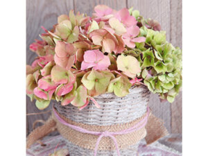 Stewo Servietten 33x33cm 2572680936